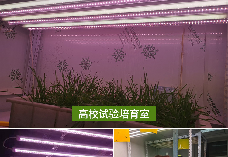 详情页--改_16.jpg