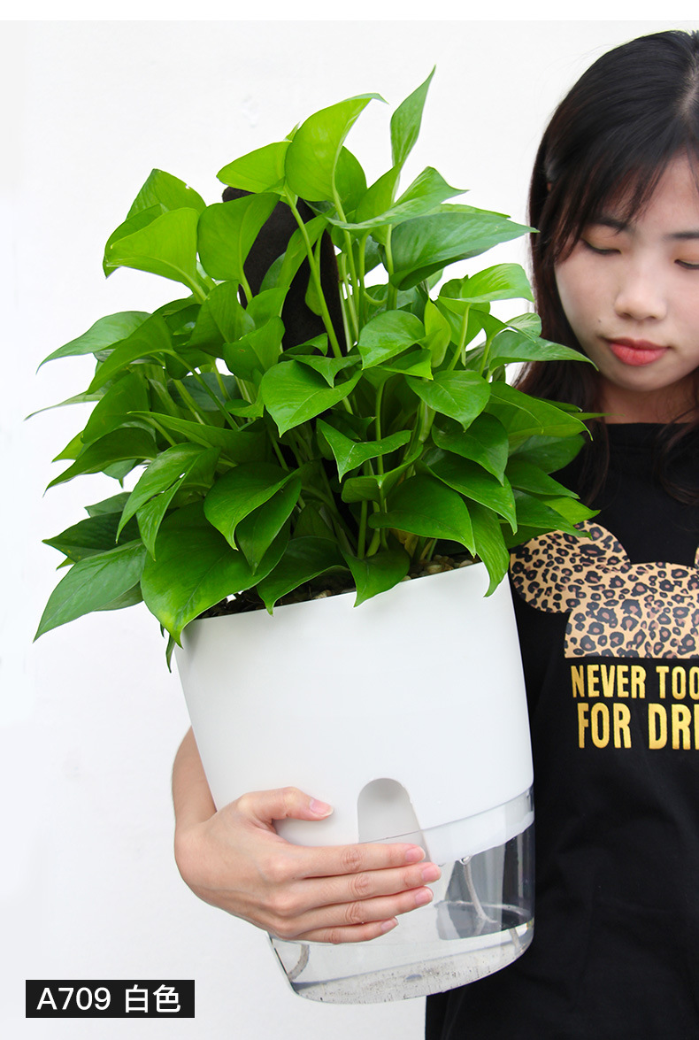 AS高透明系列_14