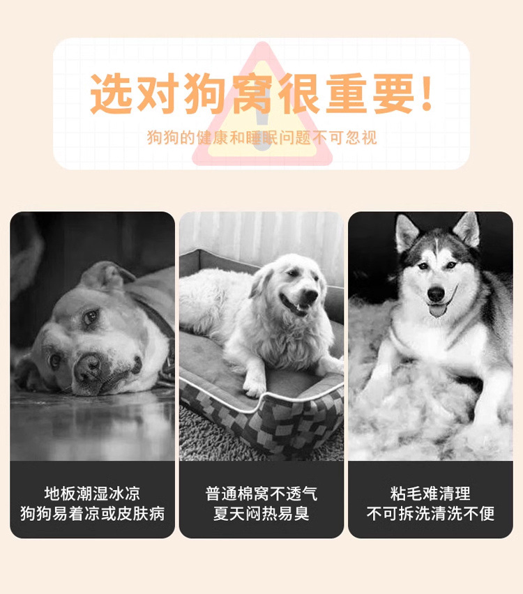 1fe4b8a1-039d-4156-9809-c27ad6a587de.jpe