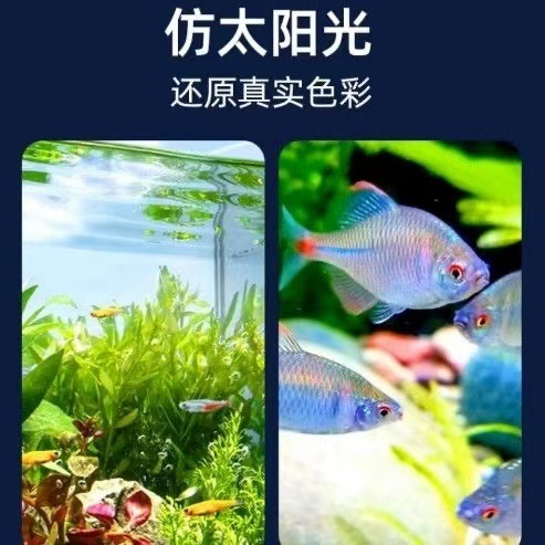 016dba64-4c89-49f7-95bb-01f5d18bd224.jpe