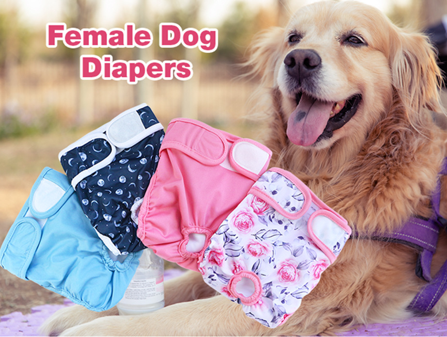 裙边狗尿裤月球详情-20220314_01_副本