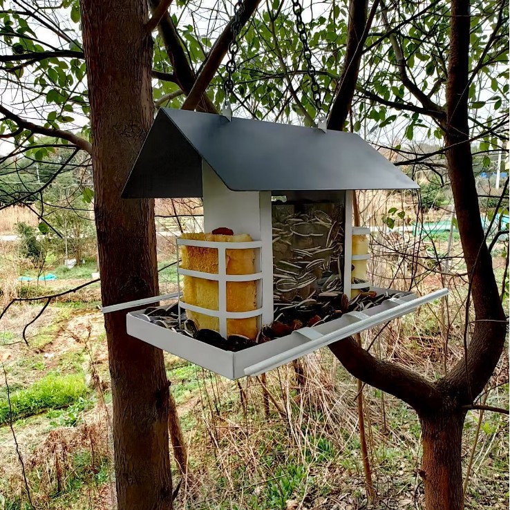 2025-03-05 23:08:51.jpg