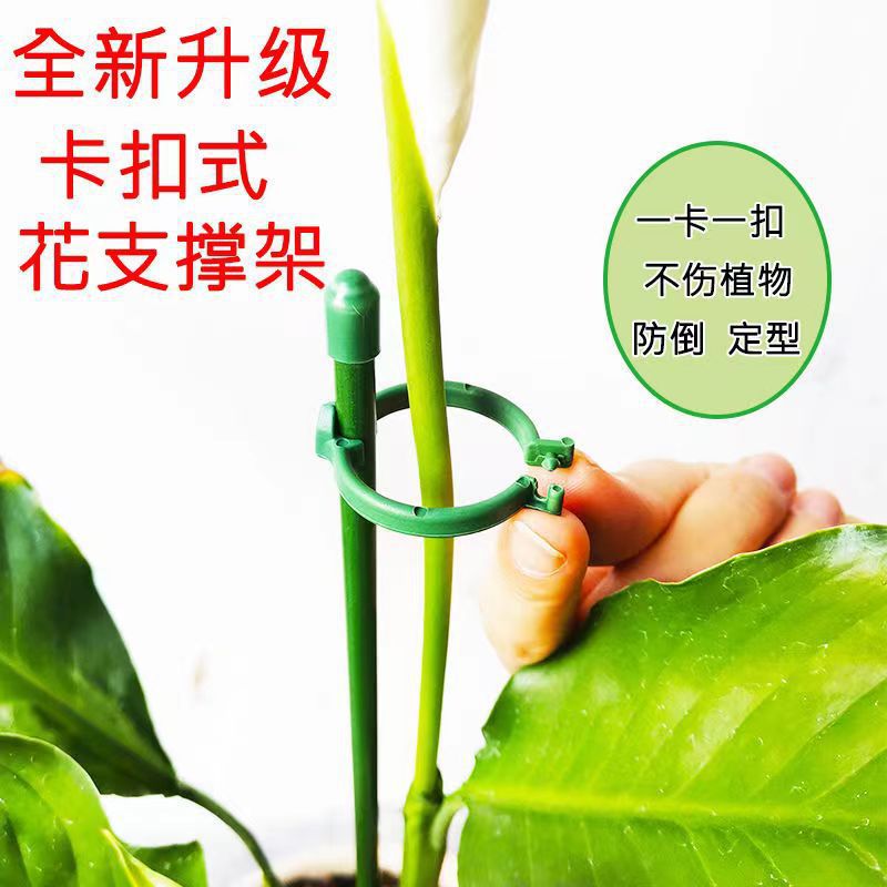 微信图片_202205102104209