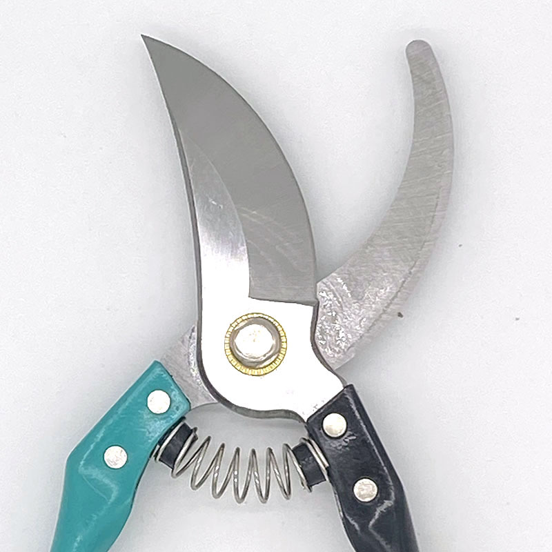 ae0bdb44753b22fe150081c7e15373