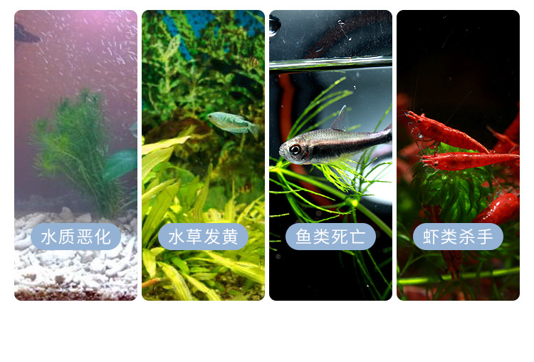 详情图_3 拷贝.jpg