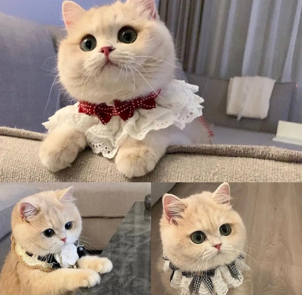 8ce5d901-839f-4498-8b9a-db05cf157f77.jpe