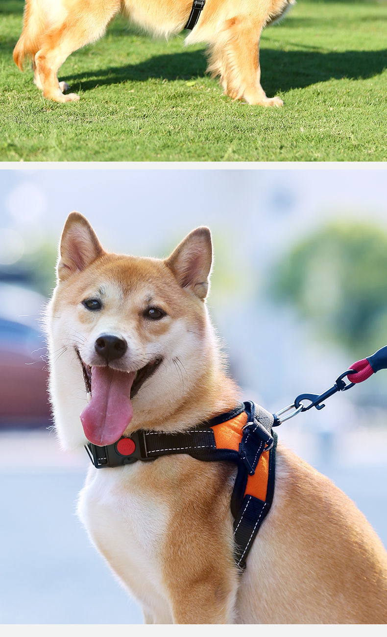 59cd7871-adde-4744-9aad-2eb5bd547970.jpe