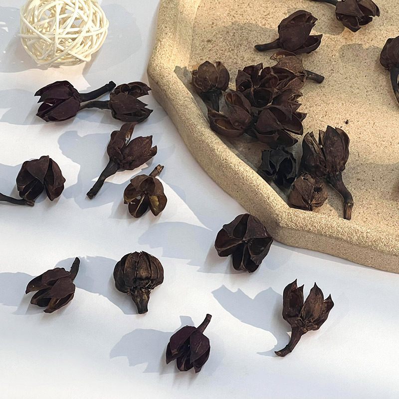 2022_02_24_15_15_IMG_1239