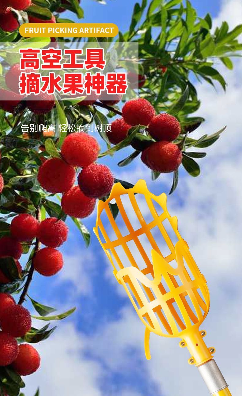 02465896-49ea-43c6-8377-92b0825a81f3.jpe