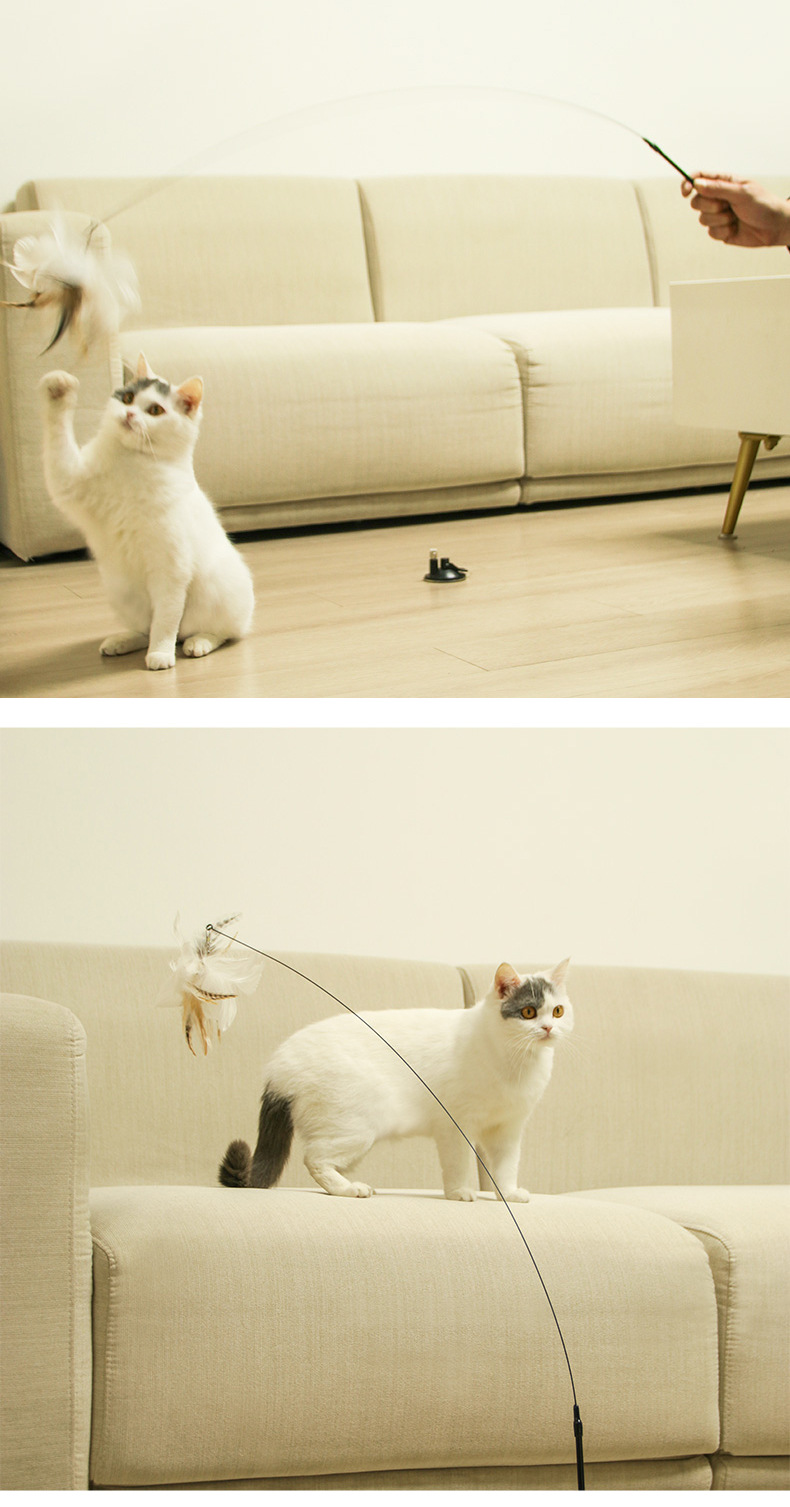 自嗨长杆逗猫棒详情页_11.jpg