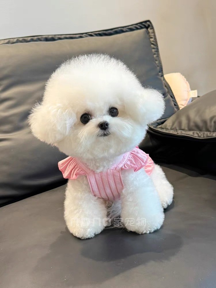 6be7c269-1f84-4b2a-99aa-1354c4dfa512.jpe