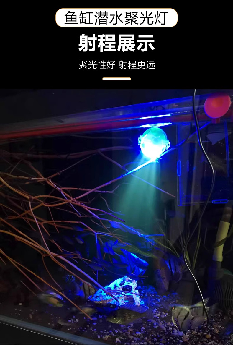 详情图_12_PC.jpg