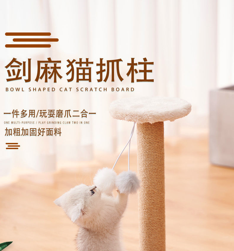 3b60671c-6cef-453a-a5c3-5732b76aca4f.jpe