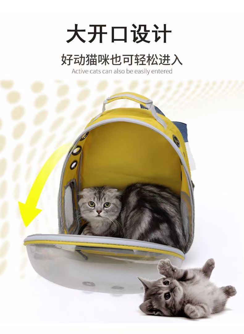 4305559a-4e8d-4de9-8062-c0e2e5387226.jpe