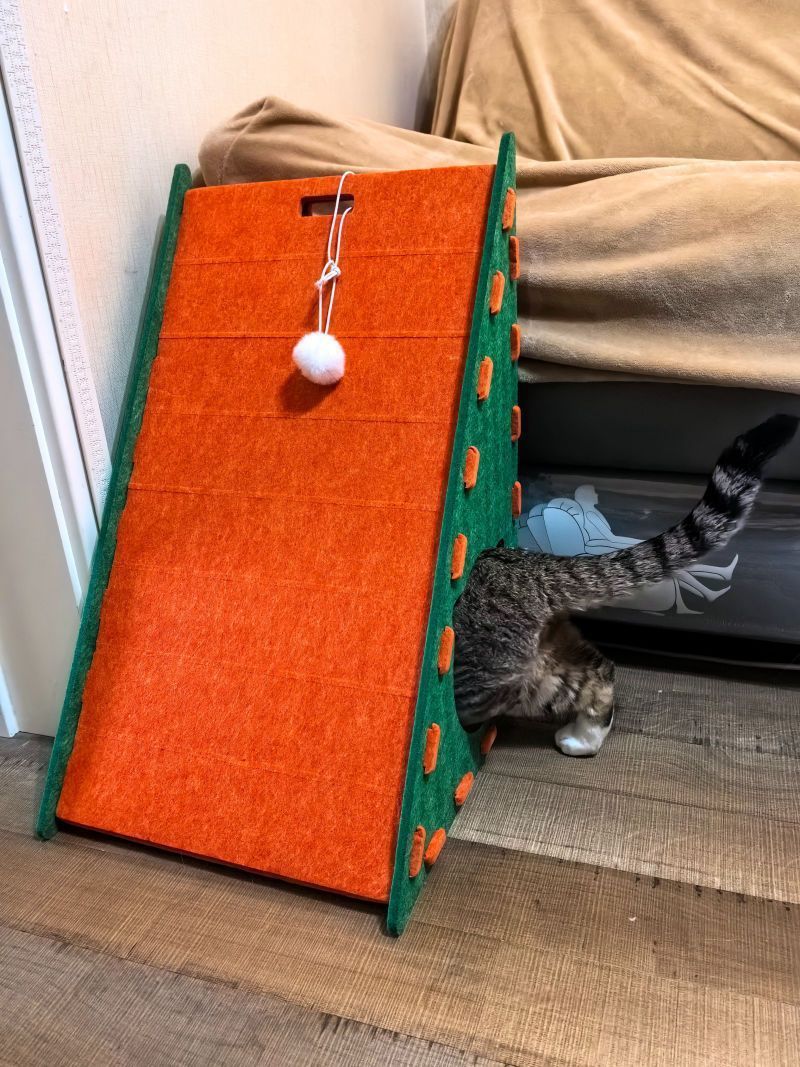 c2e83b48-a903-43db-aaee-77527a6a84af.jpe