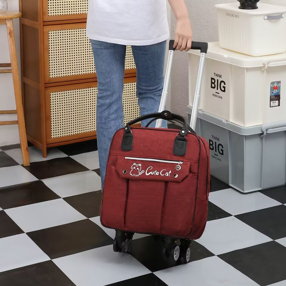 B0EDEA50F2D61685F1A7BFD87C179A