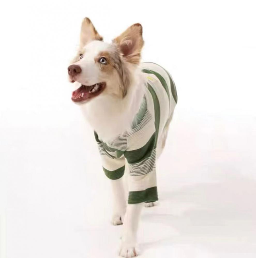 00cad8d2-058c-4964-b8c3-f1286d4e3132.jpe