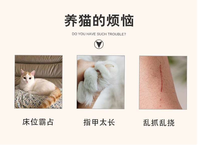 490e7aa4-8ce1-4acd-8481-e09f25e7b1ec.jpe