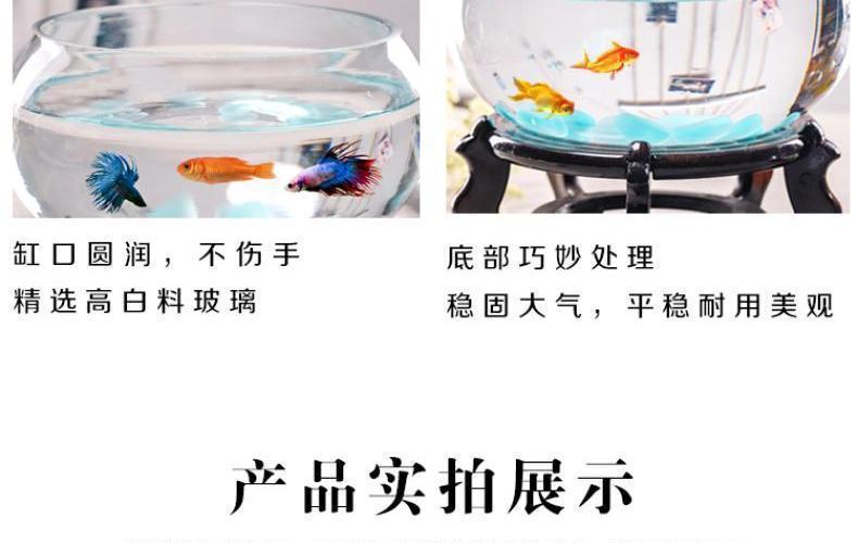 68272477-193b-4dd5-a260-625d7374390d.jpe