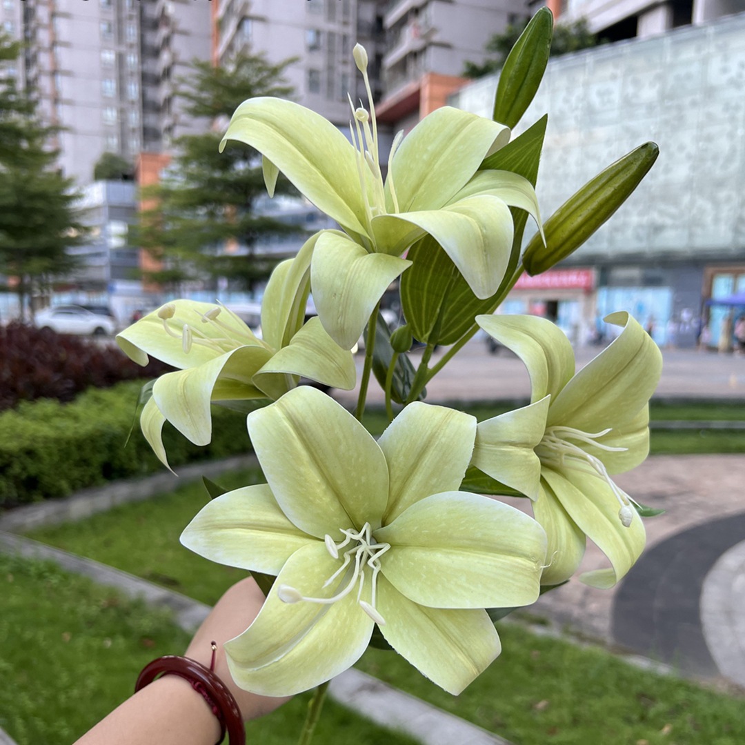 微信图片_20220828151709_副本