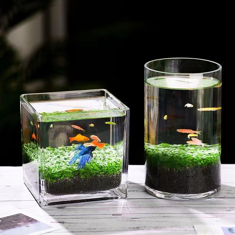 7d465e52-2676-467a-b98a-a050ba4cd13a.jpe