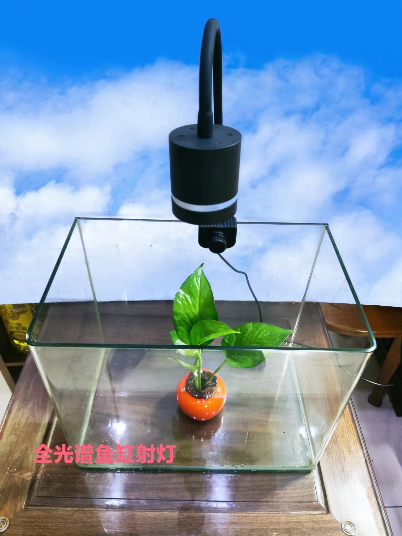 微信图片_20221102205408