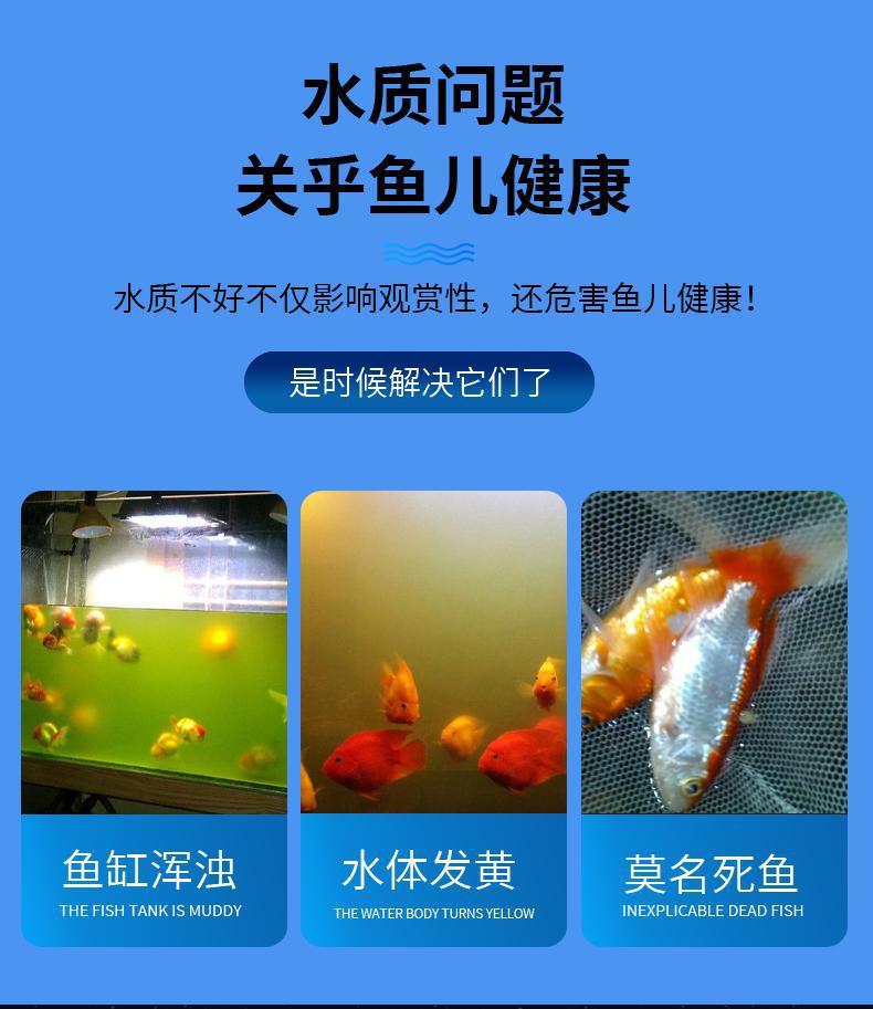 1c3dac47-339f-486c-b2dd-f4f3731b75c7.jpe