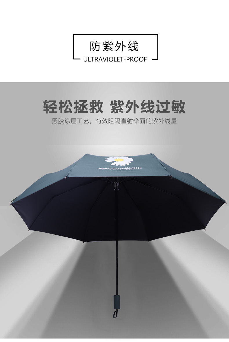 13953466956_56193525