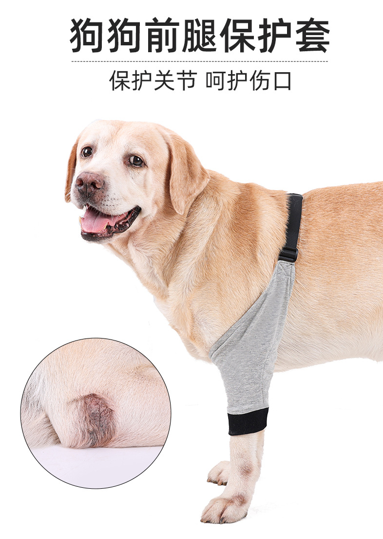 PD60100狗狗前腿保护_01.jpg