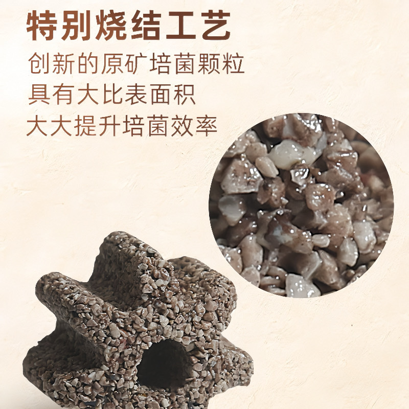 9e910d3f-5a5b-4749-8fa8-f84181f57370.jpe