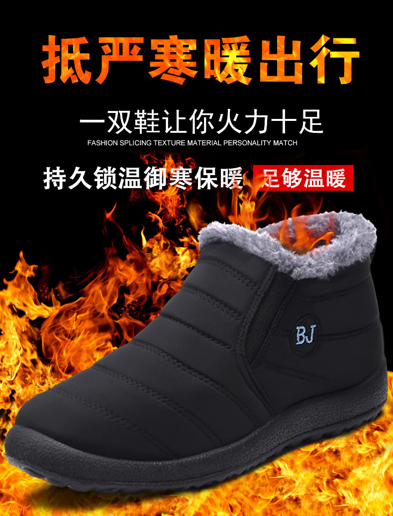 1_01.jpg