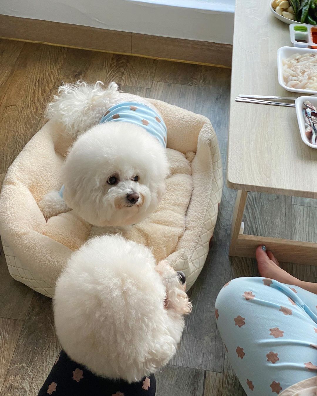 bydamsoomi동해 - 1080w (2)