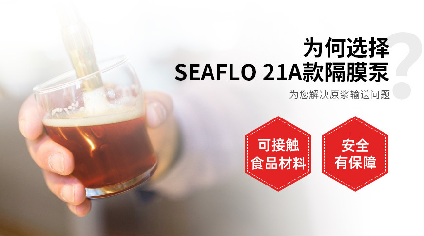 21A隔膜泵2 (1).jpg