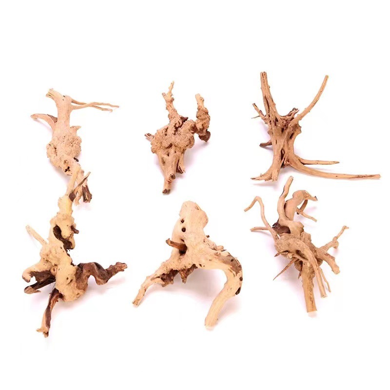 004550717760091be69c8a6dda92b3