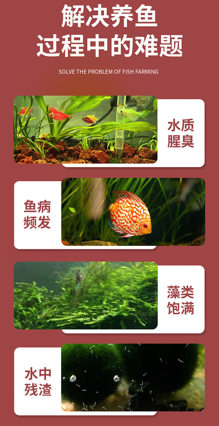 5a34319a-b83d-4809-8831-6327b88fde5e.jpe