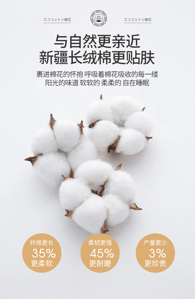 刘丰瑞-新疆生态棉花被芯_02.jpg