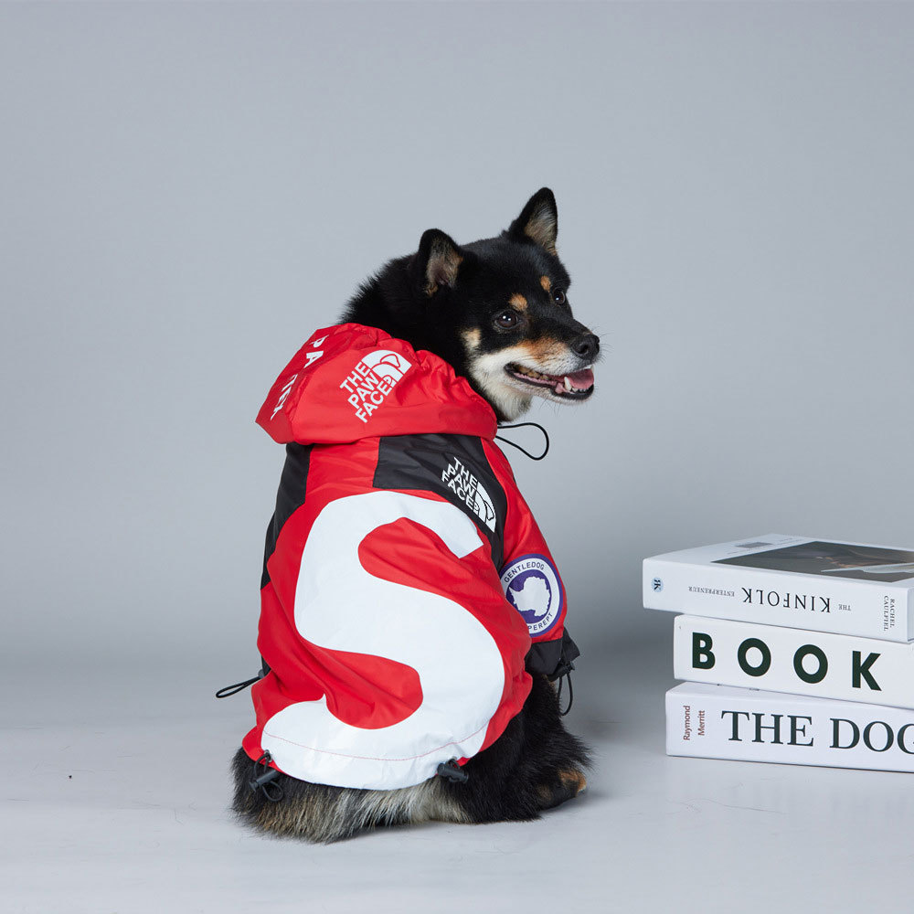 O1CN01WxTUZs288kx1xOTdm_!!2214