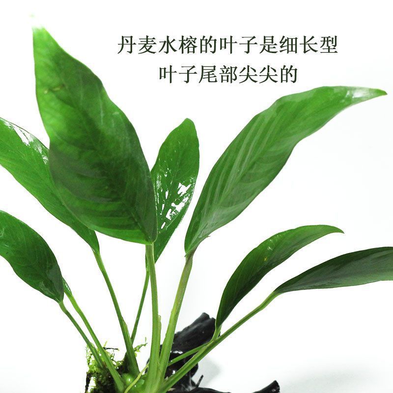 eb85e393-0c25-4b78-a105-fe6ad5874e44.jpe