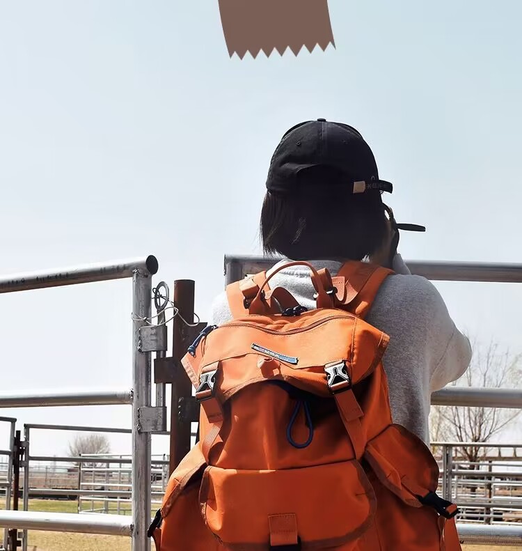 3958e6a5-1e49-49e5-8869-883806884c82.jpe