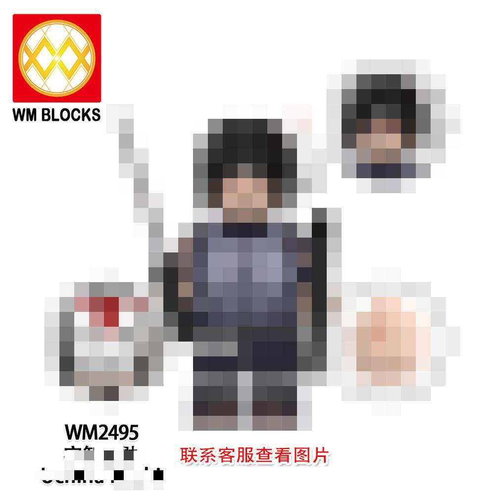 WM2495