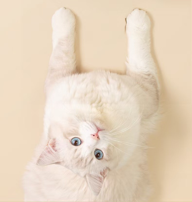 04dffa62e6a75bda4177a08449161d