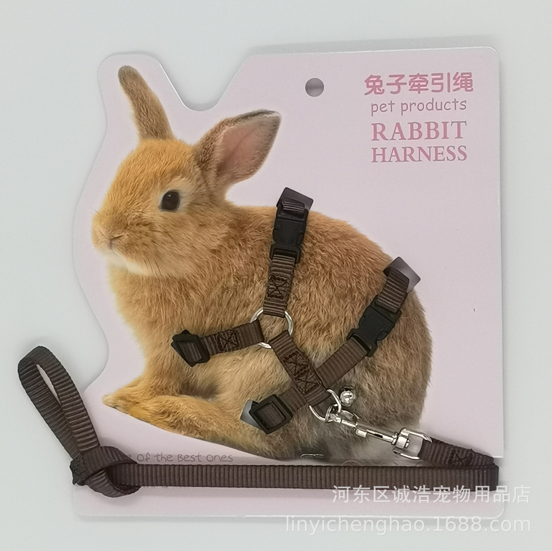 IMG_20230322_202506_edit_12541