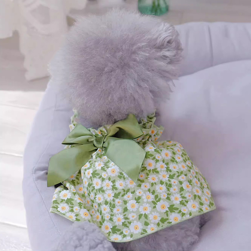 c1042ad6-7a94-4f35-8a31-109d13befcbd.jpe