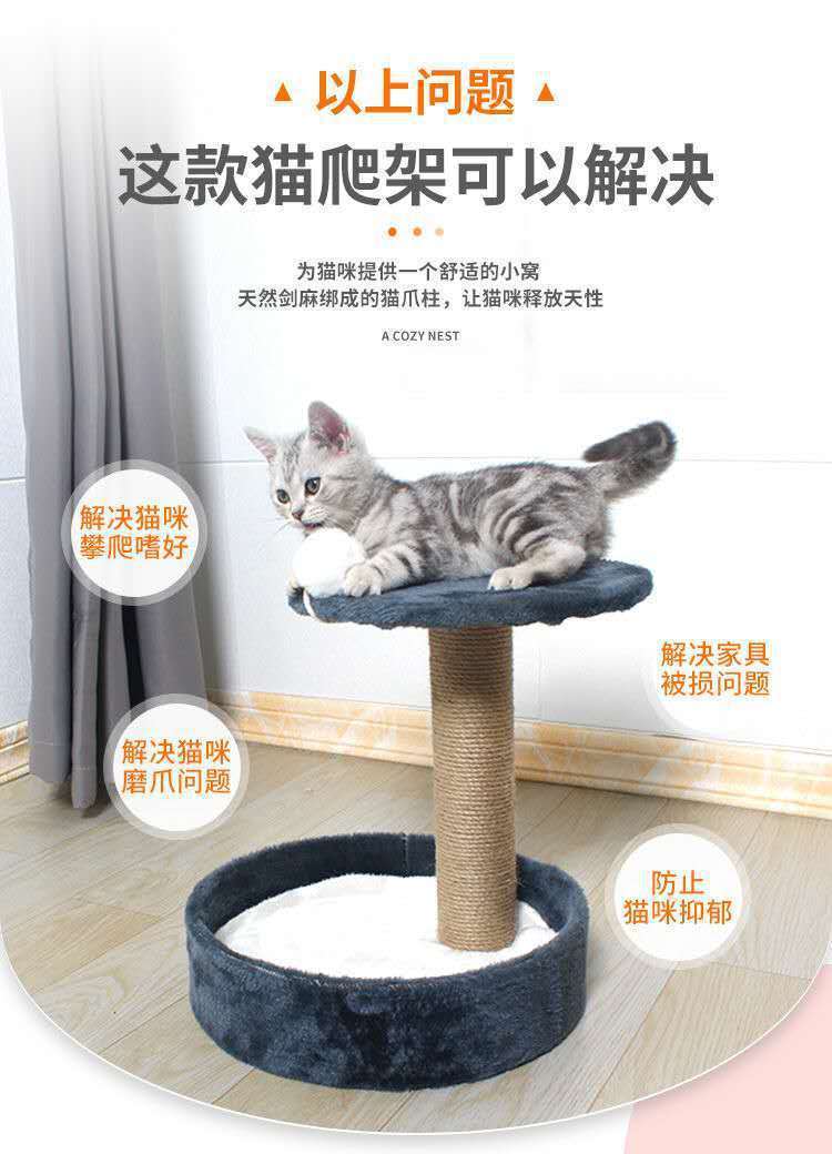 /O1CN01JZVykP1M2G2be6XSk_!!2218793051376-0-cib.jpg