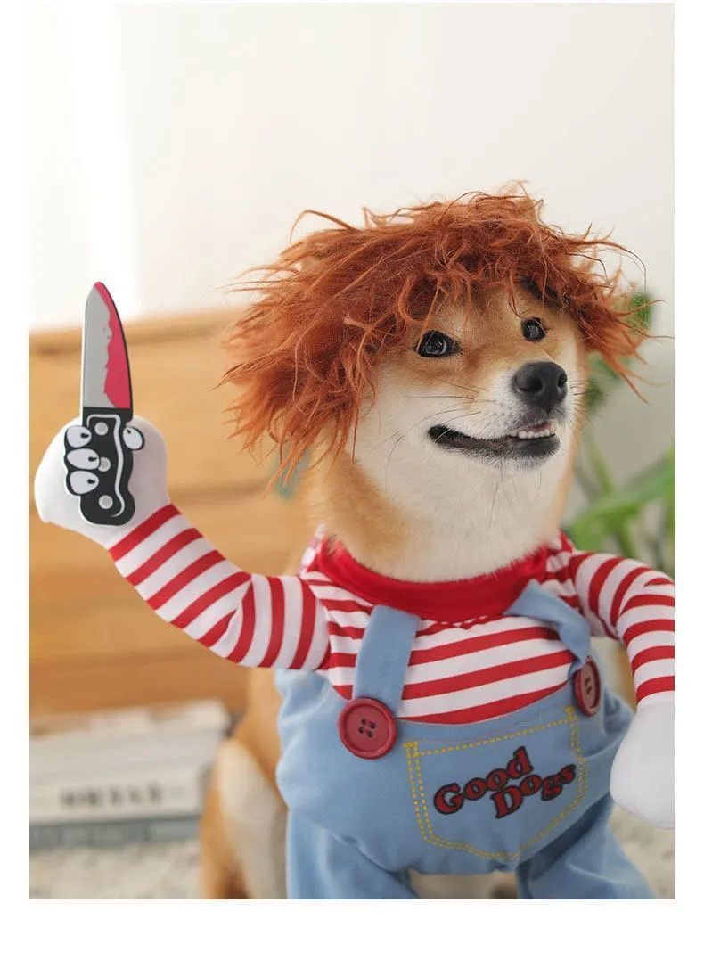 e0abd24f-dbc4-456d-aff5-5c61a903f2db.jpe