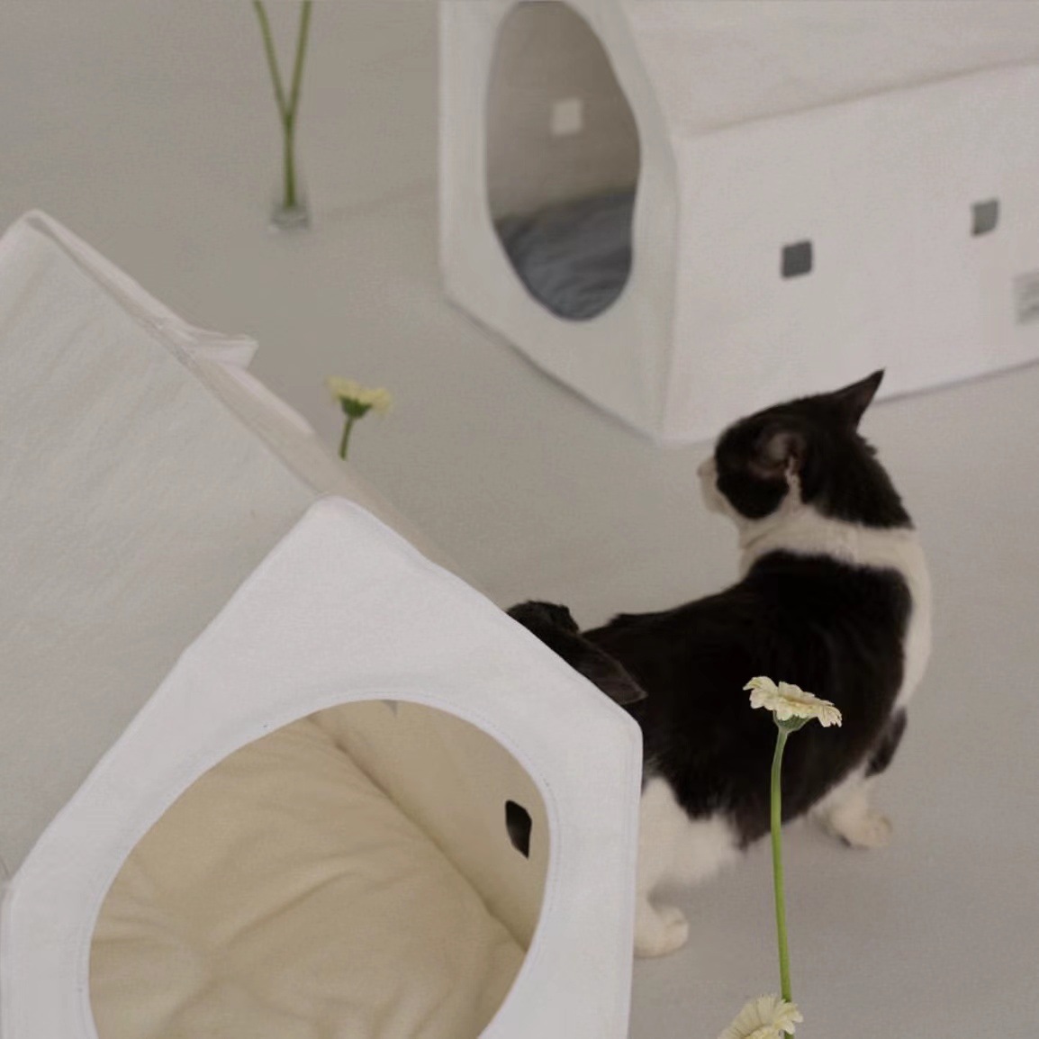 微信图片_20230725170139