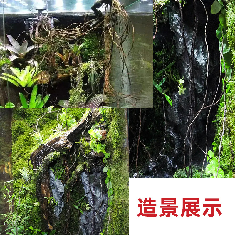 未标题-1.jpg