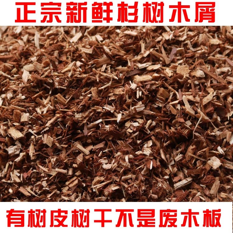 O1CN01Jc3YGh20iT6jIGKUA_!!2218480426883-