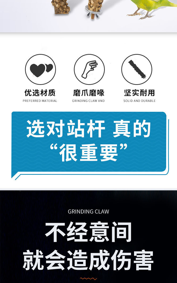 8eb42e6d-4b77-4133-b8bf-db5518cfef13.jpe