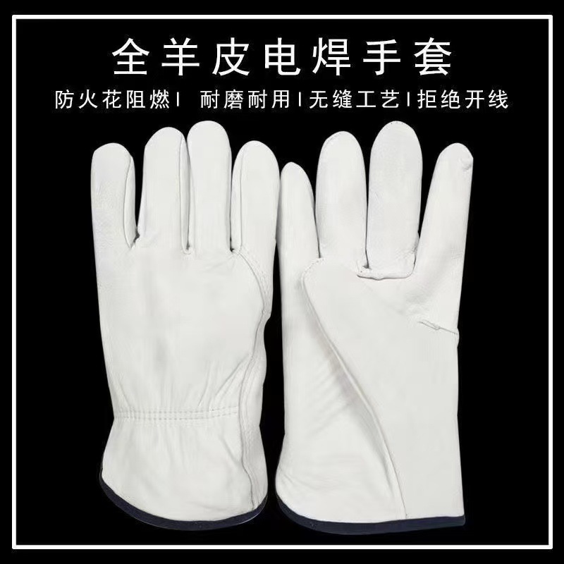 微信图片_20250605083213